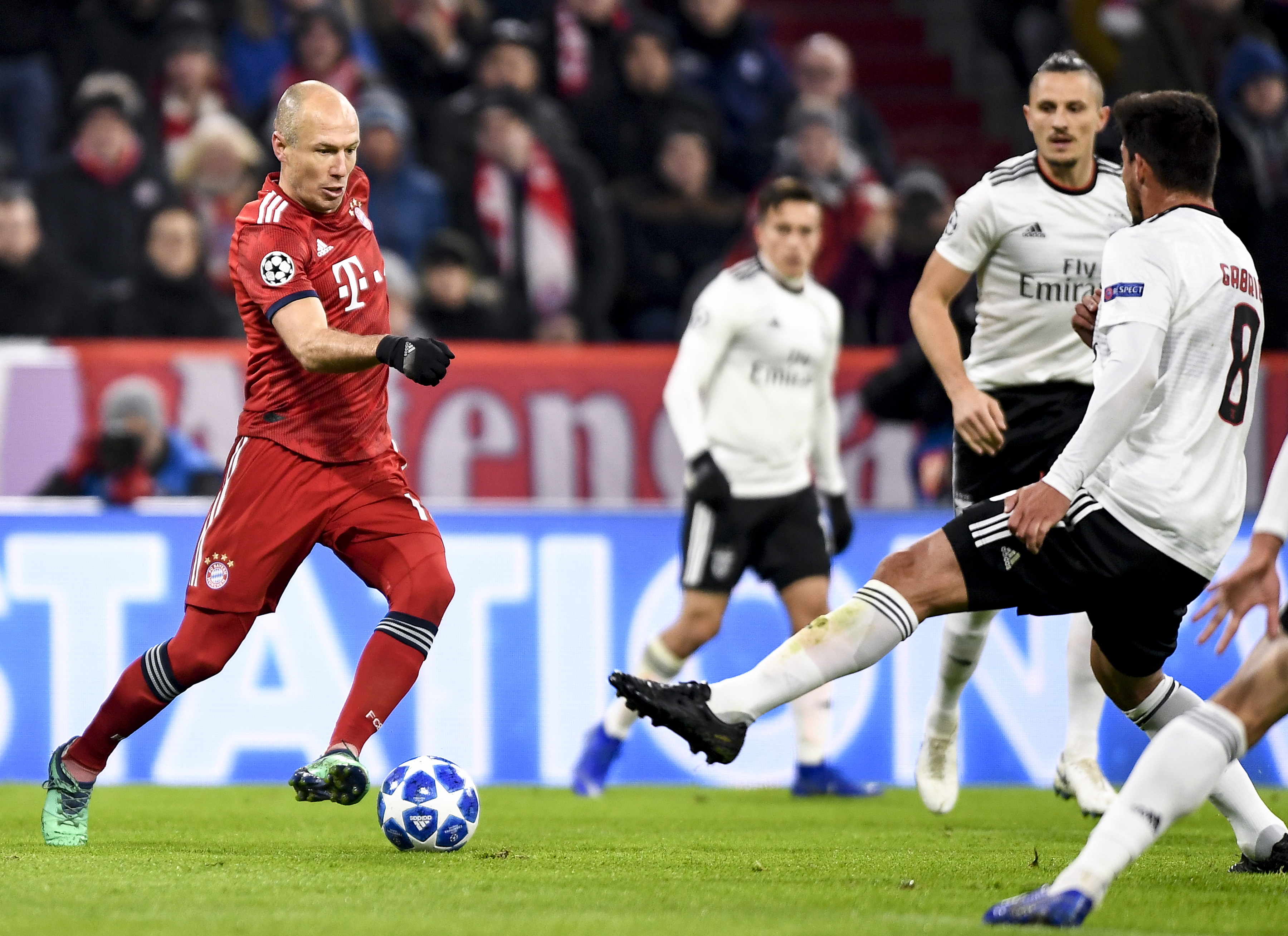 杨鸣：研究了宁波的4个外援 包括我的情绪控制&表达都需调整（杨鸣称已研究宁波四外援，自认情绪与表达仍需改进）